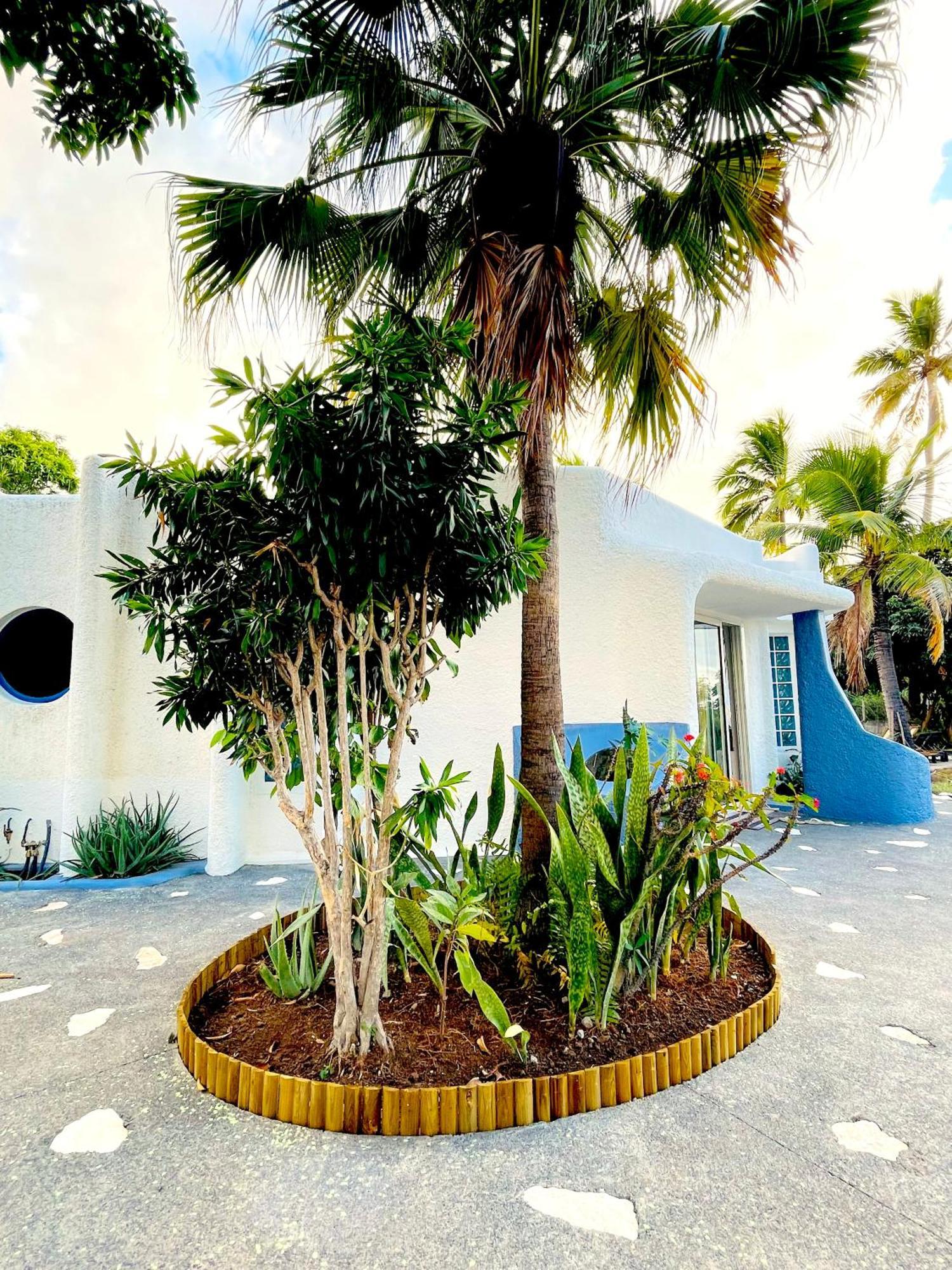 La Kaz Caleepso Villa La Possession Exterior photo